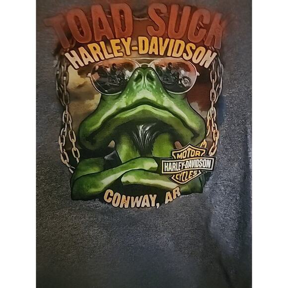 Vintage Harley Davidson t-shirt Small gray Landers Toad Suck Frog Conway AR A97 - Picture 1 of 5
